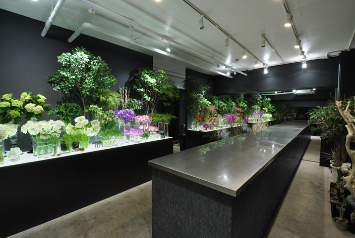 building photo image