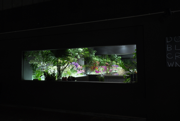 building photo image