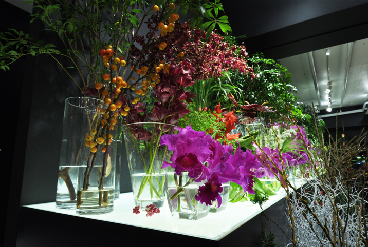 building photo image