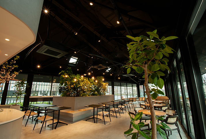 building photo image